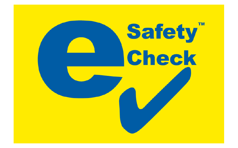 E safety Check Pink Slip